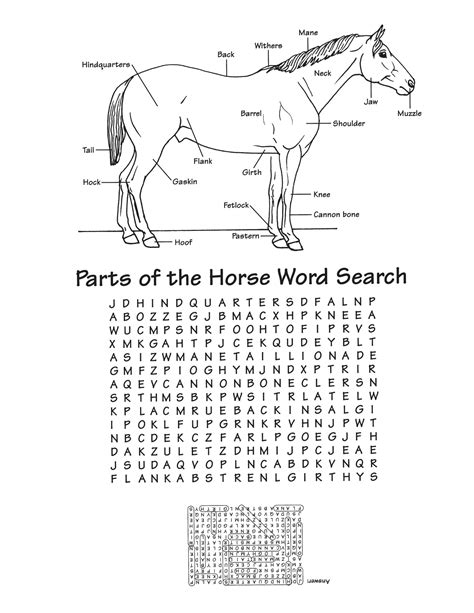 images  horse worksheets printable horse worksheets