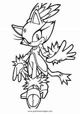 Sonic Blaze Colorare Malvorlage Disegno Ausmalen Personaggio Trickfilmfiguren Cartoni Animato Cartone sketch template