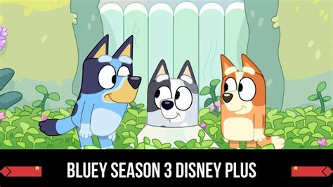 bluey season  disney  release date status   update