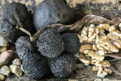 black walnut nutrition health benefits   facts