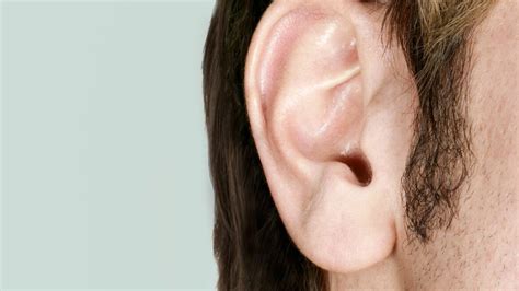 pimple  ear  ear canal  ear     rid