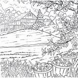 Farm Apples Bushels sketch template