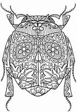 Coloring Pages Adults Adult Insect Colouring Mandala Bug Abstract Printable Zentangle Beetle Insects Advanced Animal Detailed Doodle Bugs Kleuren Voor sketch template