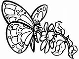 Mariposas Coloringtop Borboletas рисунок бабочка Borboleta детей sketch template