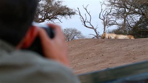Video 5 Safari Camps To Visit In South Africa David S