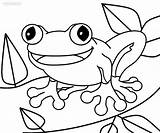 Toad Coloring Pages Frog Printable Cool2bkids Print Kids Drawing Cute Cartoon Animals Library Clipart Popular Animal sketch template