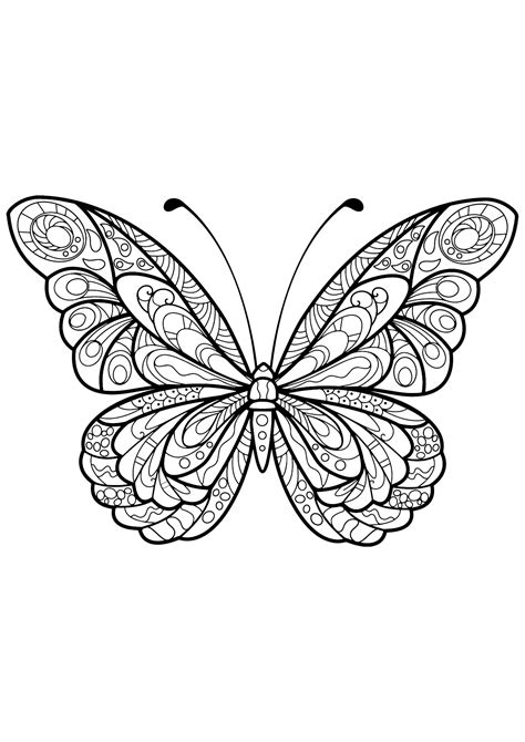butterfly coloring pages  adults  coloring pages