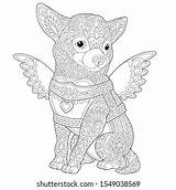 Chihuahua Chiuaua Whitesbelfast Freely Personal sketch template