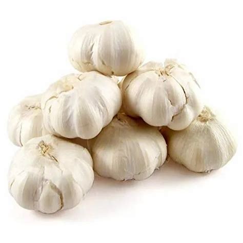 grade fresh white garlic garlic size  mm  rs kg  karnal id
