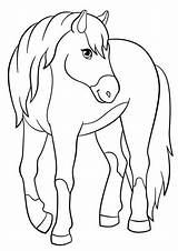 Caballo Granja Kleurplaten Paard Fohlen Cavalli Caballos Kleurplaat Cavallo St2 Malvorlagen Pferde Bajar Ilustracion Boerderijdieren sketch template