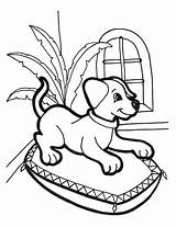 Coloring Pages Puppies Printable Kids sketch template