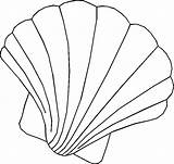 Scallop Pyrography Shells Conchas Seashells Concha Leper sketch template