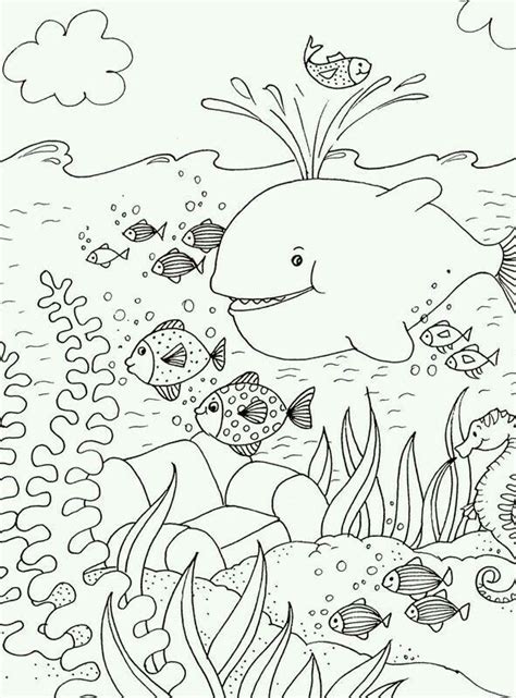 summer water fun coloring pages png  file  fonts