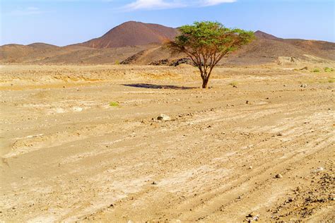 sahara desert landscape  sudan  wadi halfa photograph  marek