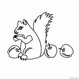 Coloring4free Squirrel sketch template