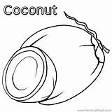 Coconuts sketch template