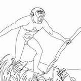 Homo Habilis Erectus Prehistoria Piedra Trabajando Tallando sketch template