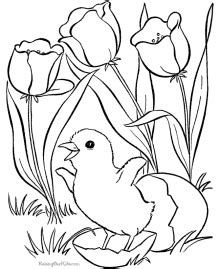 spring coloring sheets  pictures