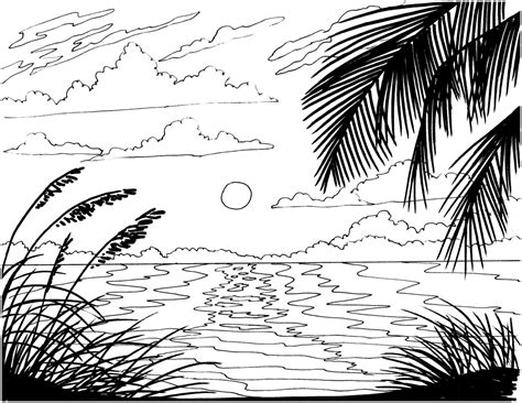 ocean beach coloring pages  adults   purchase