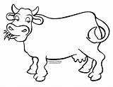 Cow Belajar Mewarnai Sapi Sketsa Hewan Binatang Tk Pola Cows Moo Ayam Herbivora Lucu Animales sketch template
