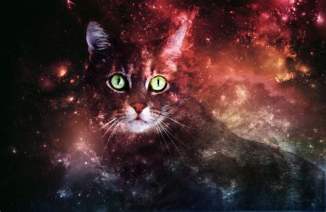 galaxy cat background  rin   deviantart