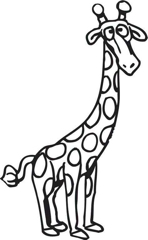 printable baby giraffe coloring pages rivershore