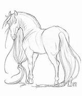 Friesian Coloring Pages Horse Collections Printable Getcolorings Getdrawings Deviantart sketch template