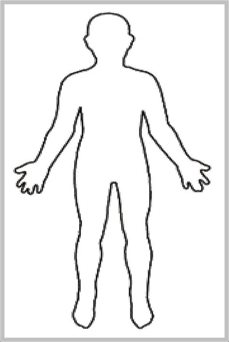 human body outline  kids  anatomy system human body
