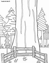 Coloring National Pages Parks Sequoia Doodle Alley Park Printable Kids August Colouring Drawings Printables California Tree Sheets Designlooter Sequia sketch template