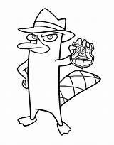 Perry Spy Coloring Pages Badge Holding Kids Phineas Ferb Platypus Categories Disney Cartoon sketch template