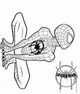 Morales Spider Coloring Spiderman Verse Aranha Homem Gratuit Loudlyeccentric Imprimé sketch template