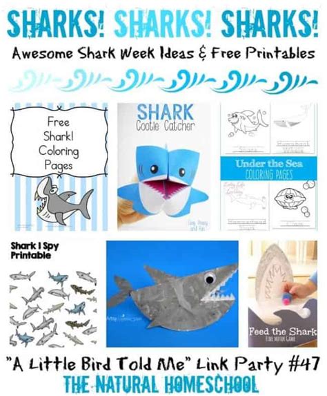 sharks sharks sharks awesome shark week ideas  printables