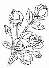 Coloring Pages Roses Rose Bunch Flower Bouquet Printable Bud Birthday Sheets Adult Coloriage Getcolorings Books Happy Flowers Color Drawing Bouquets sketch template