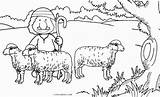 Cool2bkids Ausmalbild Hirte Schaf Schafen Lambs Shepherds sketch template