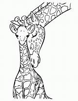 Giraffe Printable sketch template