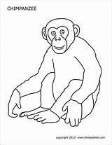 Chimpanzee Firstpalette sketch template