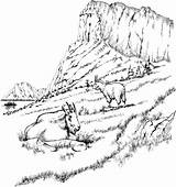 Coloring Pages Landscape Goats Mountain Adult Adults Printable Goat Rocky Mountains Scenery Realistic Two Detailed Coloring4free Only Landscapes Color Colouring sketch template
