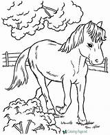 Coloring Horse Pages Pony Farm sketch template
