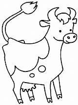 Cow Coloring Pages Coloringpages1001 sketch template