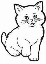 Cat Coloring Pages Fluffy Getcolorings Baby Cute sketch template