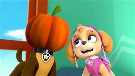 Animated Couples Images Chase X Skye Paw Patrol Hd