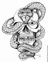 Snake Skull Deviantart Hassified Tattoo Sketch Drawing Coloring Pages Drawings Skulls Adult Dark Serpente Tattoos Hand Old Deviant Traditional Drawn sketch template