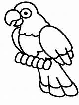 Coloring Pages Bird Kids sketch template