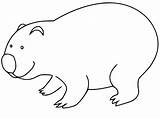 Wombat sketch template