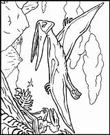 Pteranodon Dinosaurios Crayola Pterosaurio Terodactilo Treehouse Dinosaurs Book sketch template