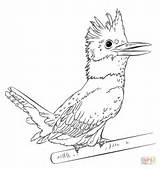 Kingfisher Coloring Drawing Belted Pages Draw Birds Bird Tutorials Common Drawings Kids Line Step Printable Types Supercoloring Da Categories sketch template