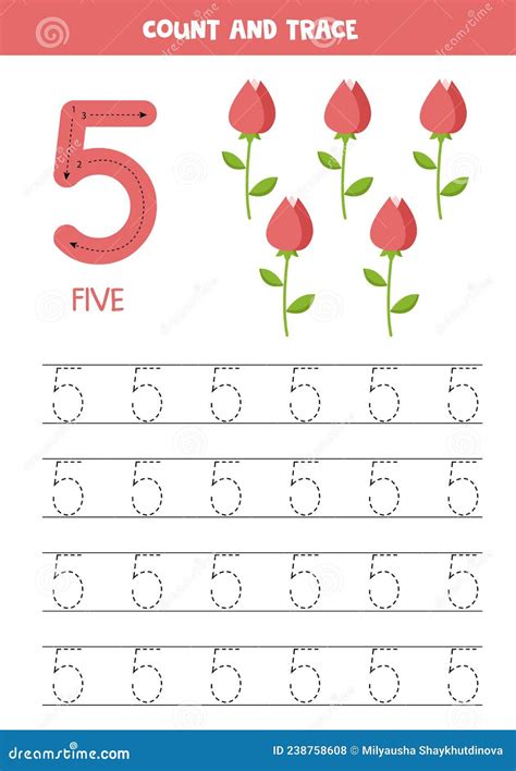 tracing number  preschool worksheet  roses stock vector