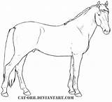Coloring Pages Andalusian Horse Coloriage Chevaux Template Supercoloring Thoroughbred sketch template