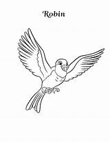 Robin Bird Red Drawing Flying Coloring Pages Getdrawings Happy sketch template