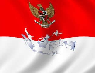 sistem pemerintahan negara indonesia  diary